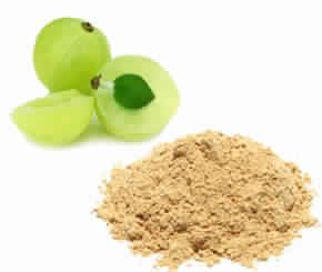 Amla Powder