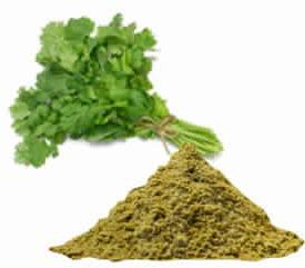 Coriander Powder