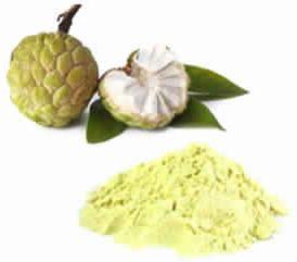 Custard Apple Powder