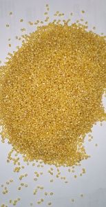 foxtail millet