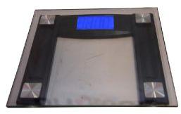 body weighing scale