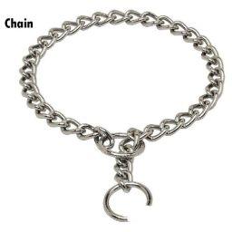 dog chain