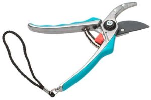 Pruning Shears