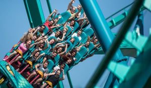 Amusement Park Seat Belt