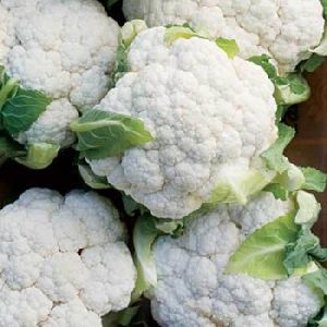 Fresh Cauliflower