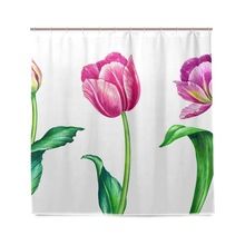 Bath Curtains