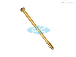 Cancellous Screw