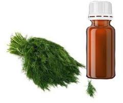 Dill Leaf Essential Oil