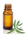 Natural Tea Tree Essential Oil