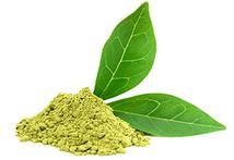 Green Tea Extract