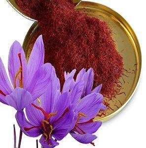 Saffron Oil