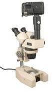 Zoom Stereo Microscope