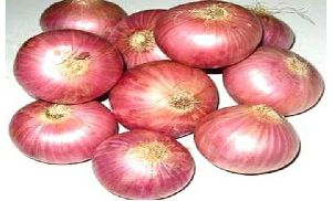 Onion