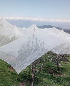 Knitted Anti-Hail Nets