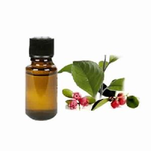 Wintergreen Oil