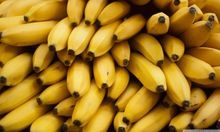organic bananas