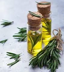 Rosemary Oil