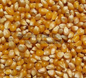 Popcorn Kernels