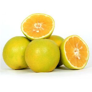Yellow Sweet Lime