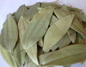 Bay Leaves