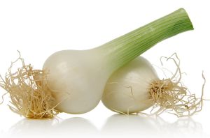 Green Onion