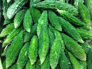 Karela