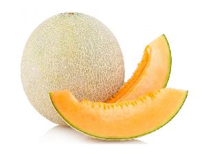 Musk Melon