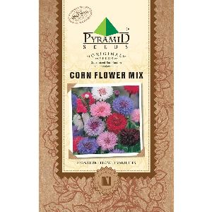 Corn Flower Mix Seeds