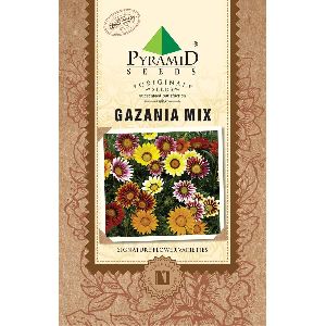 Gazania Seeds