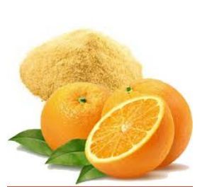 Orange Powder (Spray Dried )