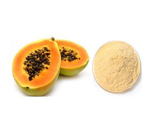 Papaya Powder (Spray Dried)