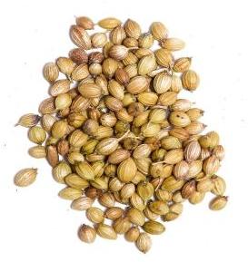 Natural Coriander Seeds