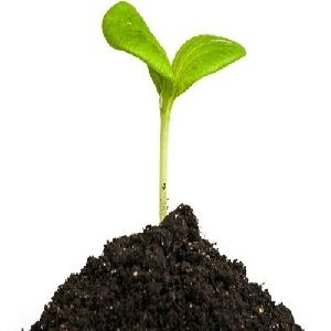 Safe Nutra Plant Growth Regulator