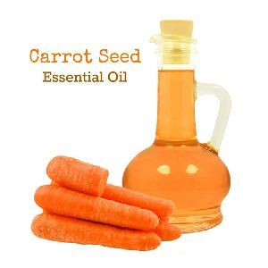 Carrot Seed Essential Oil