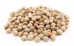 Pigeon Peas