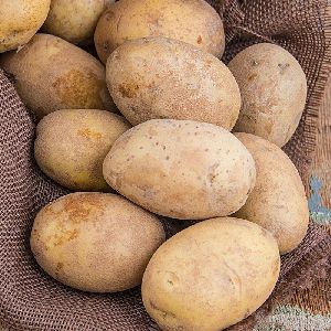 Brown Potato