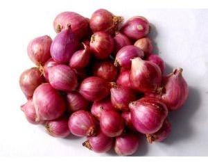 Fresh Small Onion