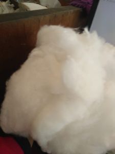 bleached cotton for surgical industry