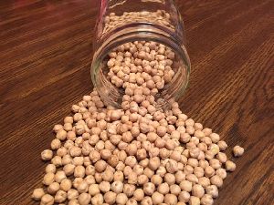 Chickpeas Seeds