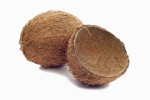 Coconut Shell