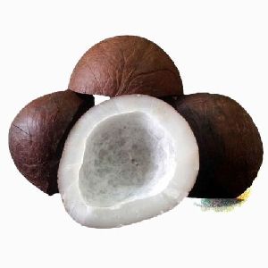 Dry Coconut