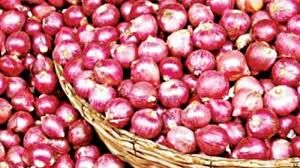 Nashik Onion