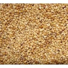 Foxtail Millet Seeds