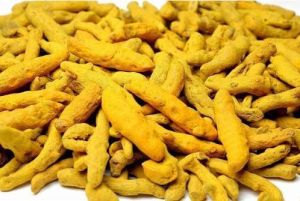 Yellow Turmeric Finger