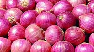 Organic Onion