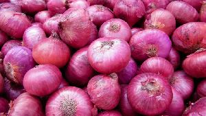 Fresh Pink Onion