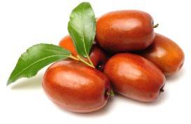 Fresh Jujube