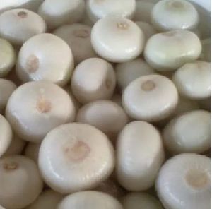 preserved white onion