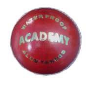 Academy Cricket Ball