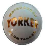 Yorker White Cricket Ball